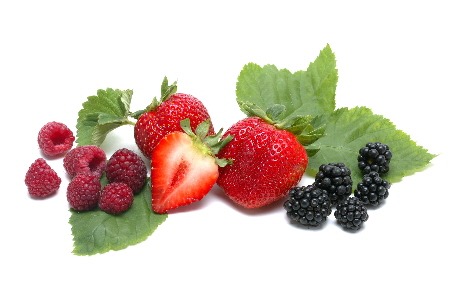 berries450