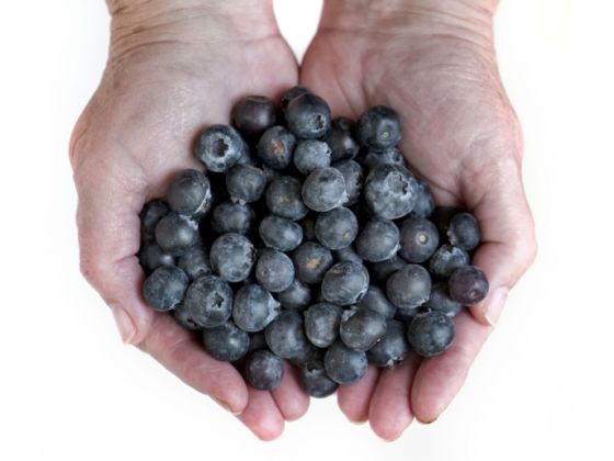 blueberryhands